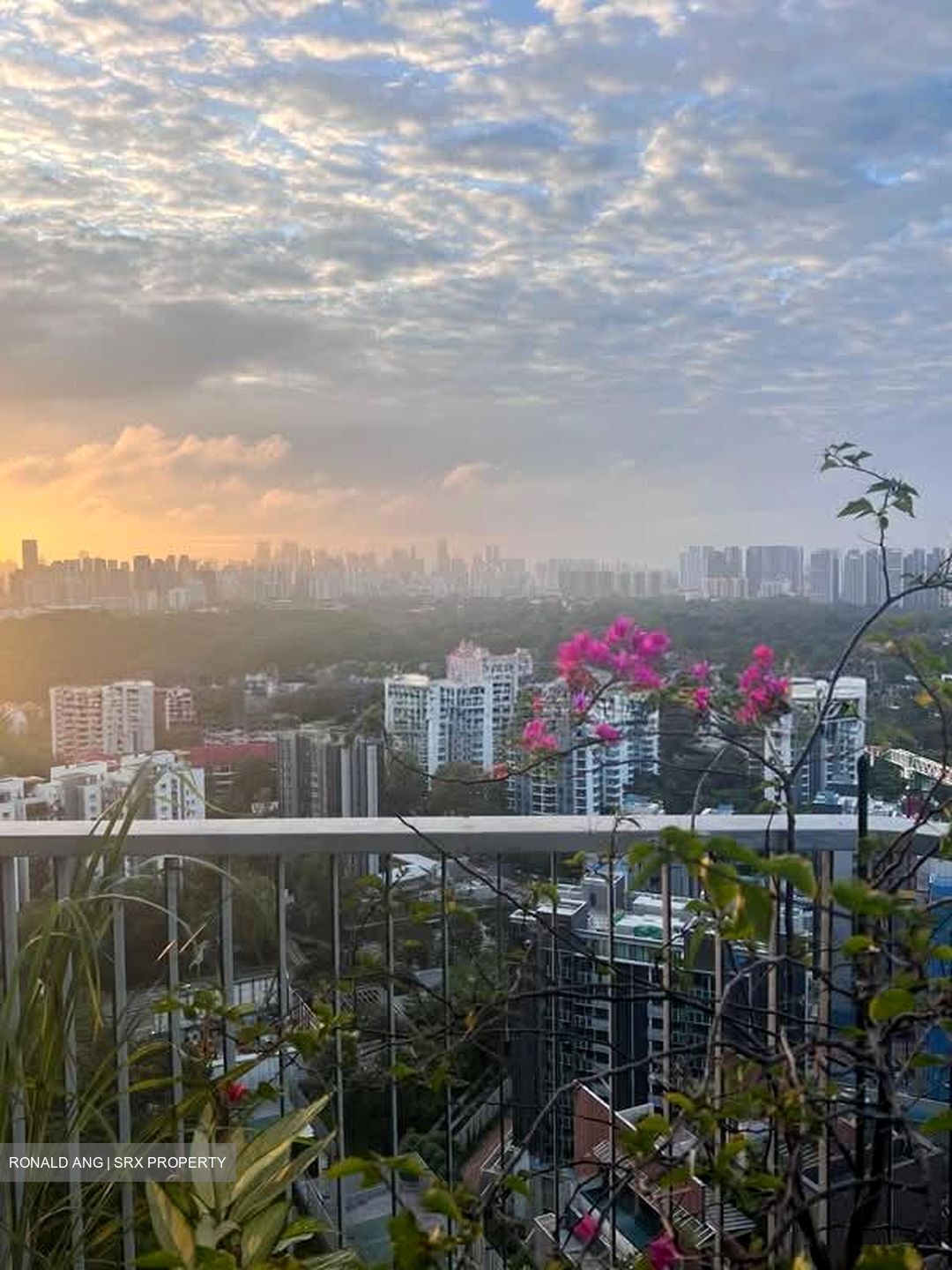 D'Leedon (D10), Condominium #533057291